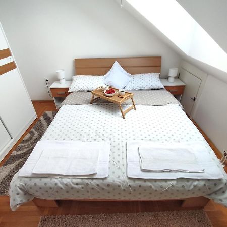 Apartman Ns Dan Private Parking 诺威萨 外观 照片