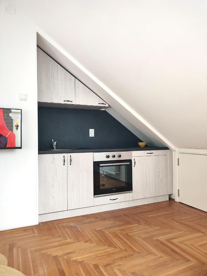 Apartman Ns Dan Private Parking 诺威萨 外观 照片