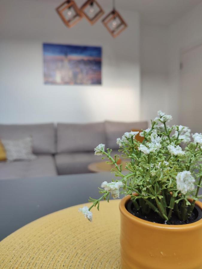 Apartman Ns Dan Private Parking 诺威萨 外观 照片